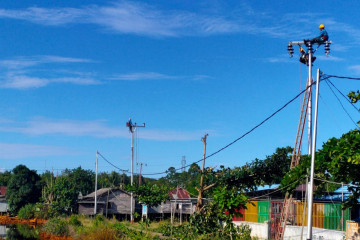 PLN suplai listrik untuk kawasan lumbung pangan di Kalimantan Tengah