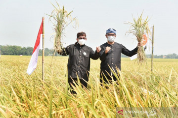 Salim Segaf tekankan pentingnya regenerasi petani milenial