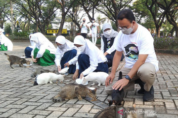 Anies beri makan kucing liar di Ancol peringati Hari Rabies