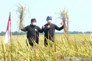 Ketua Majelis Syura PKS sampaikan agar negara lindungi dan sejahterakan petani