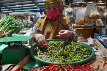 Gubernur optimistis ekonomi Kepri bangkit setelah level PPKM turun