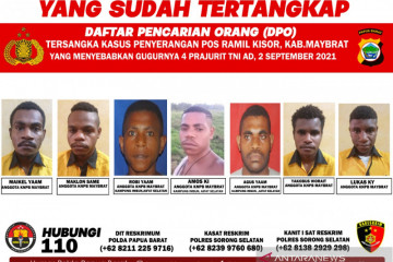 Polisi tangkap lima anggota KNPB Maybrat
