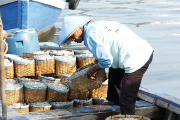 Ekspor perikanan Lampung pada 2021 bertumbuh