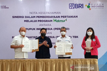 Pacu peran BUMN, Erick sebut Program Makmur untuk sejahterakan petani