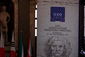 Hadiri pertemuan G20, Mentan dorong penghapusan kelaparan global 