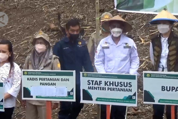 Kementan tanam perdana jagung inovasi BPTP di Poso