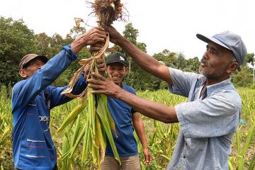 Mata Indonesia: Lawan narkoba - Bagian 2