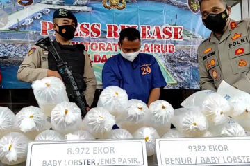 Ditpolairud Polda Banten gagalkan penyelundupan 9.382 benih lobster