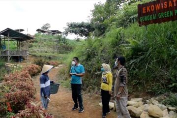 Menikmati teh di ekowisata bukik Sungkai Kota Padang