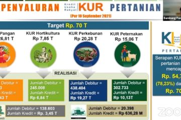 Sektor pertanian tumbuh positif di masa pandemi COVID-19