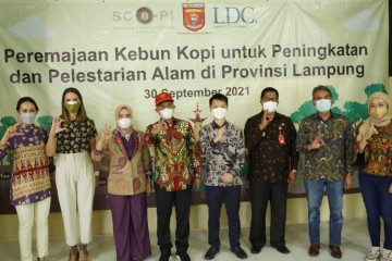 LDC perpanjang kemitraan untuk dukung petani kopi Indonesia
