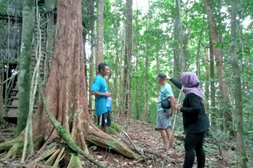 Seluas 1.396 hektar cagar alam Raja Ampat beralih jadi suaka satwa