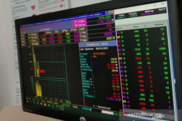 BEI sebut pergerakan saham di Sultra melaju pesat tiga kali lipat