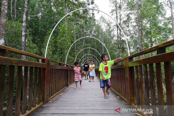 Kunjungan Ecowisata Mangrove Poumako terdongkrak PON Papua