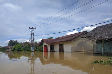 Banjir di Kapuas Hulu rendam daerah pesisir Sungai Kapuas