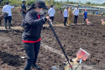 Ketua DPR RI tanam dan jajan jagung bareng Jokowi di Sorong Papua