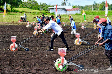 Presiden menanam jagung bersama petani di Kabupaten Sorong
