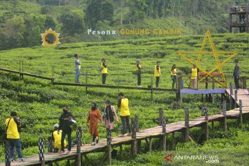 Wisata Agro Rengganis kebun teh Gunung Gambir