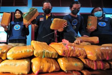 Tangkapan ganja 45 Kg di Jambi