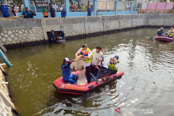 Jakarta Pusat panen ikan untuk ketahanan pangan dan gizi warga