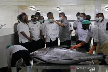 Menteri Trenggono tinjau proses pengolahan ikan di Ambon