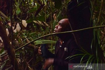 Alex Waisimon menjaga cenderawasih dan hutan Papua lestari