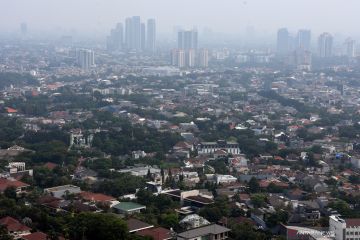 Akademisi UI: Pepohonan sangat penting mengurangi emisi CO2