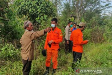 Basarnas gabungan belum temukan petani hilang di hutan Mahalona