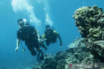 Menyelami keindahan panorama bawah laut Sabang