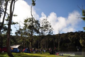 56 desa di Sulawesi Tengah jadi mitra konservasi di kawasan TNLL