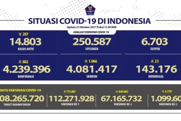 1.066 orang sembuh dari COVID-19 pada 23 Oktober