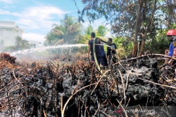 Dua hektare lahan gambut di Aceh Barat terbakar