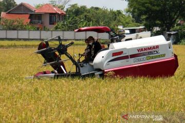 Bupati: Produksi beras di Sukoharjo selalu surplus 102.000 ton