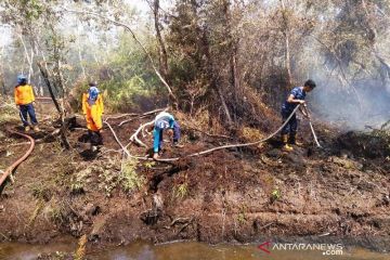 Lahan gambut terbakar di Aceh Barat bertambah menjadi 2,2 hektare