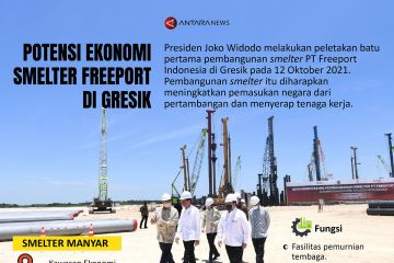 Potensi ekonomi smelter Freeport di Gresik