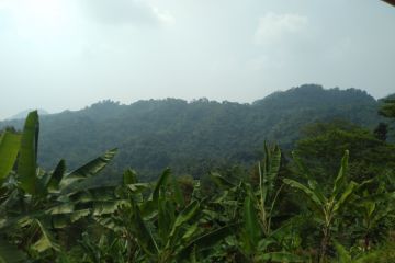 Perhutani gandeng Unsika jadikan kawasan hutan tempat praktikum