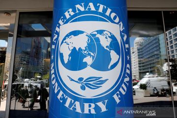 Panel IMF desak bank sentral pantau inflasi, "bertindak dengan tepat"
