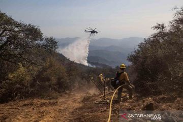 Kebakaran hutan di Santa Barbara