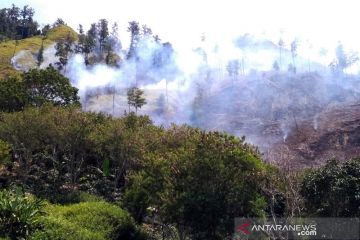 BPBA: Api hanguskan 25 hektare hutan lindung di Aceh Tengah padam