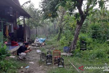 Polda Metro SP3 kasus sengketa tanah di Pepatan, Tangerang