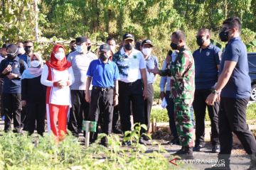 Wapres apresiasi kebun dan ketahanan pangan Kodam Kasuari  Papua Barat