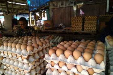 Kementan fasilitasi distribusi telur peternak Blitar ke Maluku dan Kalteng