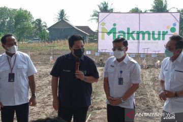 Melalui program Makmur, Kementerian BUMN ingin sejahterakan petani