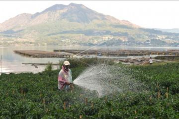 Nilai tukar petani Bali naik
