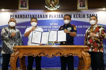 KKP-Kemendag perketat pengawasan impor ikan dan garam