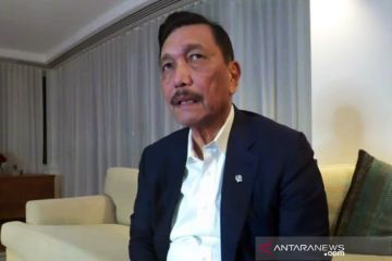 Luhut sebut 19 negara diizinkan masuk RI dengan asas resiprokal