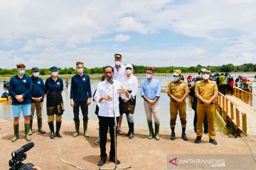 Presiden Jokowi targetkan rehabilitasi 600 ribu hektare hutan mangrove