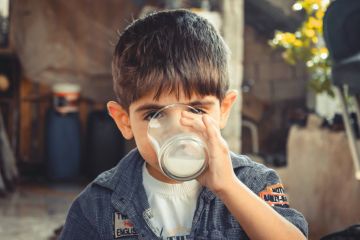 Rayakan Hari Pangan Sedunia, 100 ribu kotak susu cair dibagikan