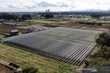 Teknologi Agri-Voltaic pada lahan anggur dan blueberry