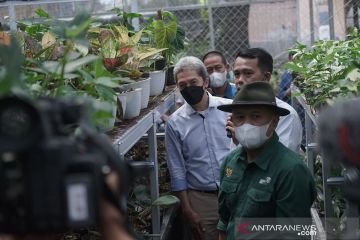 Menkop: Tanaman hias jadi opsi pemulihan ekonomi